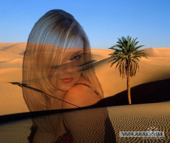 Дикие фото из социальных сетей