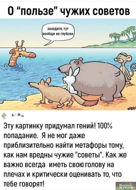 Прикольные и просто красивые картинки 03.09.2024