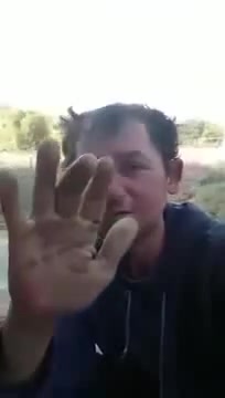 Картинки со звуком