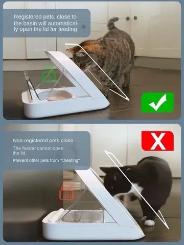 Кушать подано!