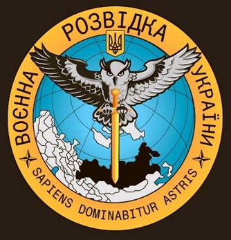 Сова сбила дрон в зоне СВО