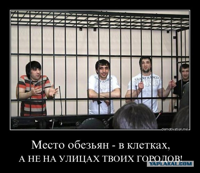 Дагестанская драка