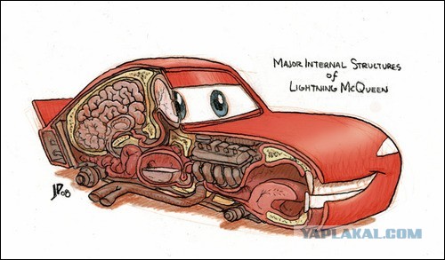 Анатомия Марио