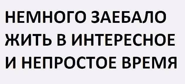 Так себе картинки 23.06.25
