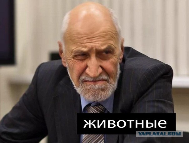 43 года прожил и только сейчас это узнал