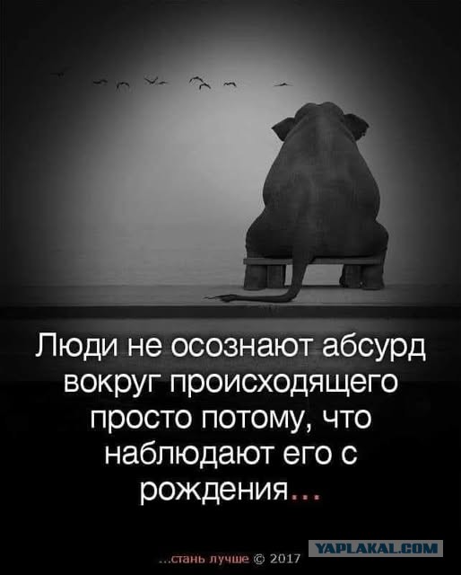 Небаянистая деградация 5