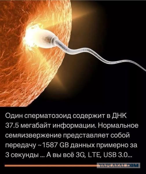 Картинки