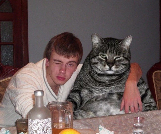 Приятель новый .