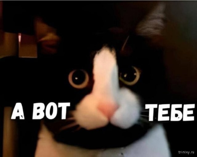 «Что вы можете дать такой девушке?»