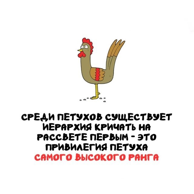 Интересные и короткие факты на все случаи жизни 19.04.26