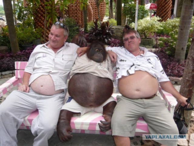 «Враги» России готовятся «сорвать» голосование в сентябре, но ЦИК выстроит «мощный заслон» — Памфилова