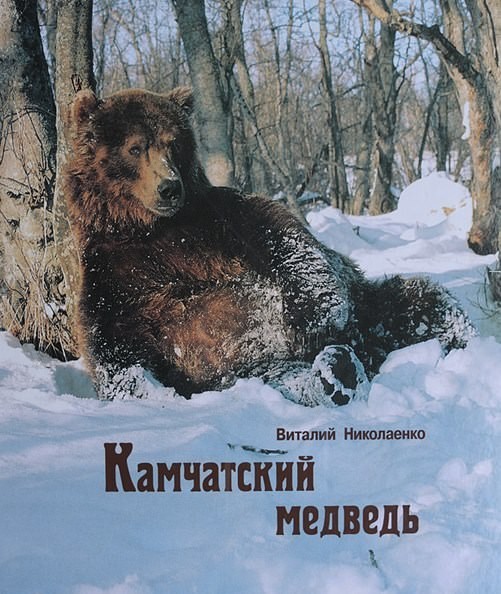 Медведей я тоже считаю своими ребятами