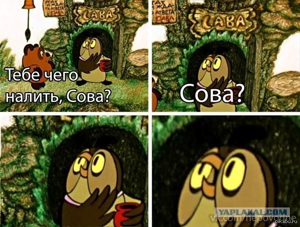 Сове картинка