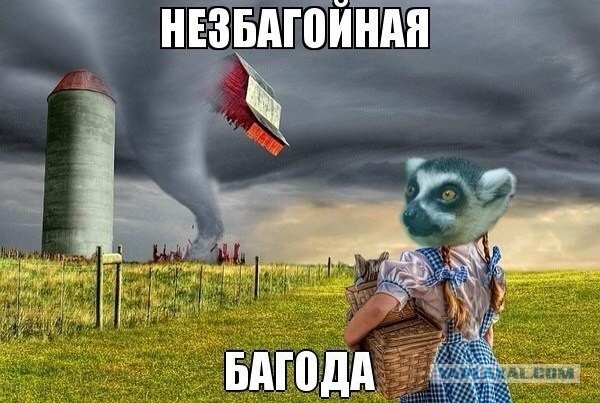 Узбагоился ! ^^