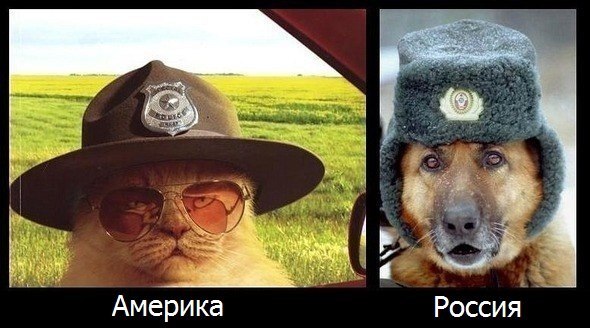 Царь,просто царь...