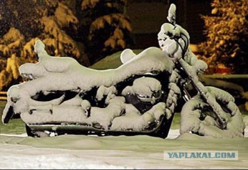 Фуршет на плотине