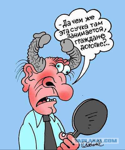 Смешные картинки