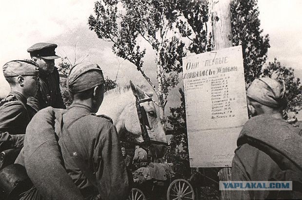 Окопные листовки конца июня 1944 года