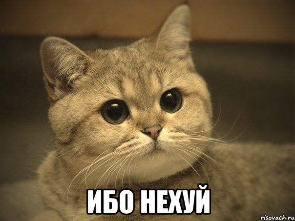 Нос и кокаин: метаморфозы за 10 лет