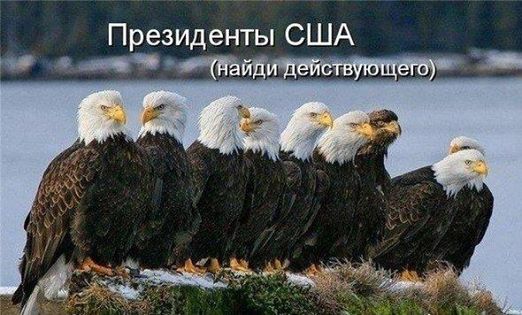 Война не повод для смеха, но....