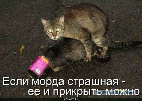 Я ведь красивая, да?