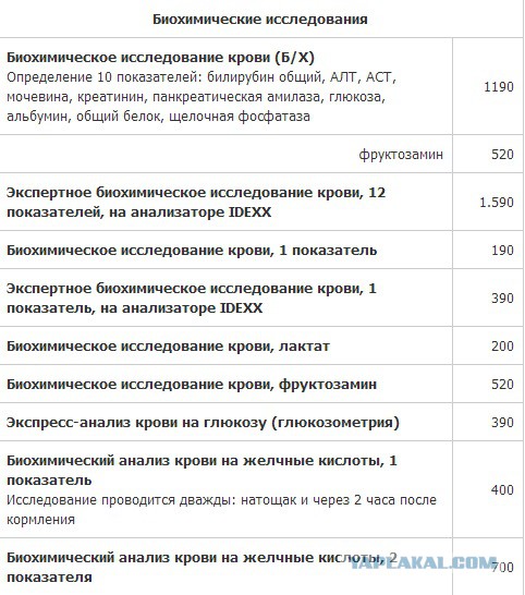 История про моего кота..