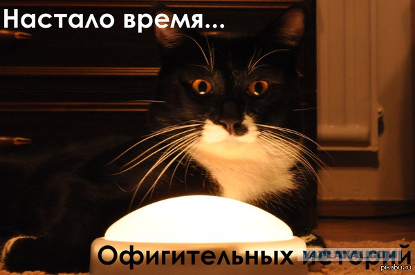 Жизнь или смерть