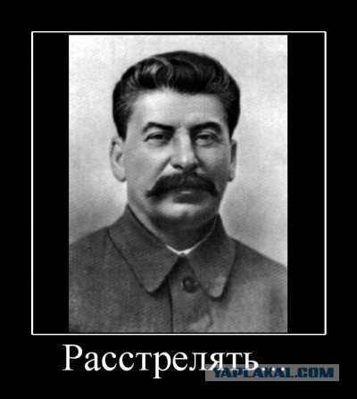 Замечание американской красавицы Саманты Пауэр.