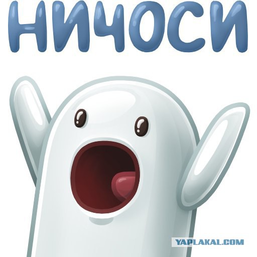 Волочкова на велосипеде врезалась в пальму
