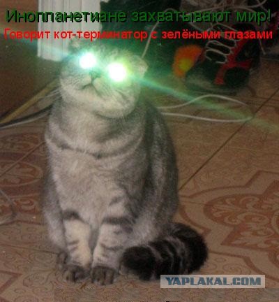 10 видов существ, которые могут унаследовать Землю