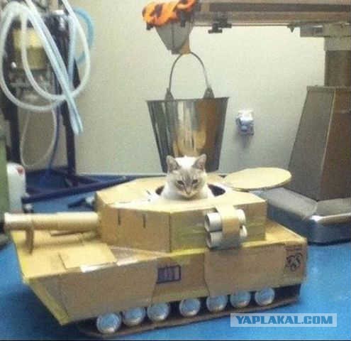 Wargaming 24
