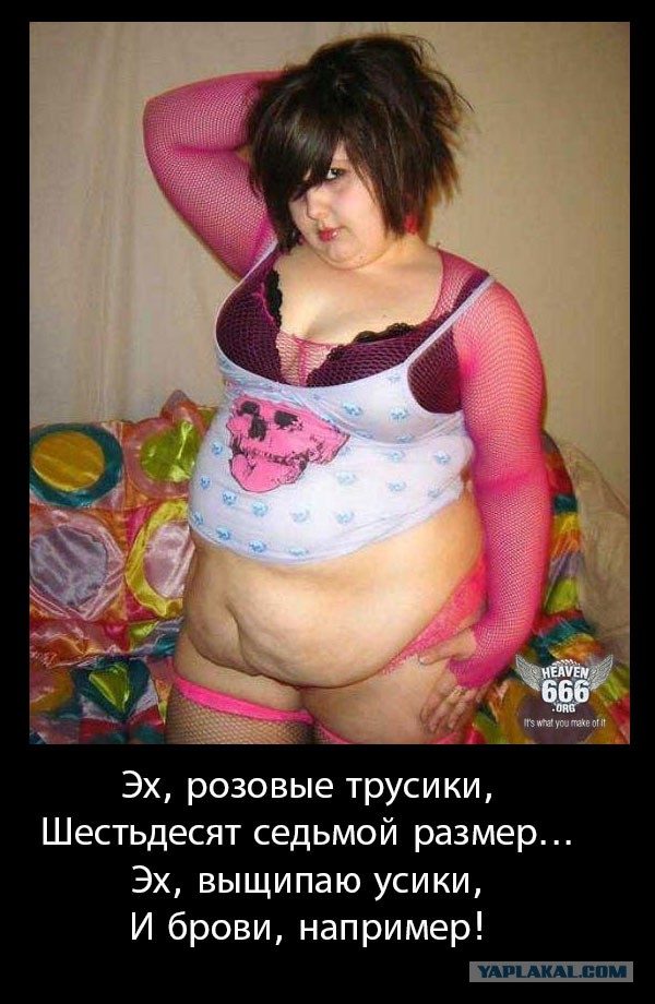 Картинки из инета обо всем