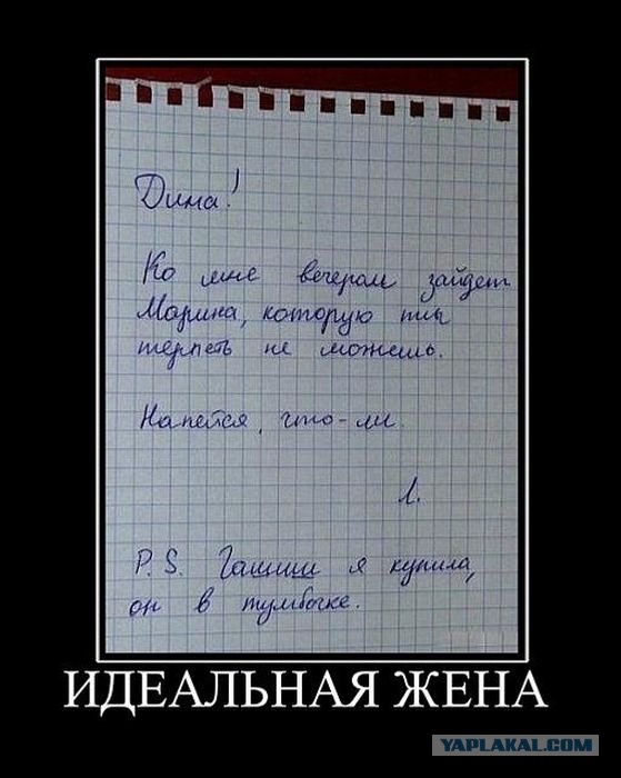 Ежевика, она такая ежевика!