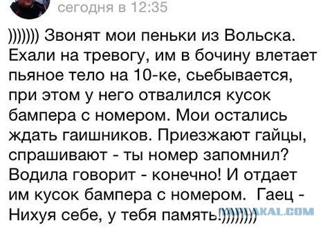 15 картинок с тЫрнета