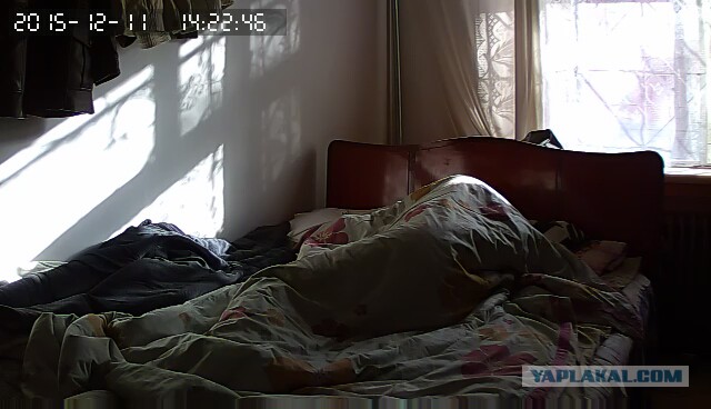 За что я люблю китайцев