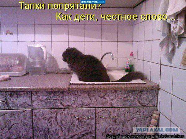 Это даже злее красной лазерной точки