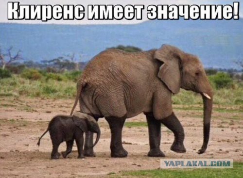 Смешные комментарии из социальных сетей 04.03.2016