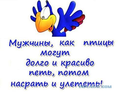 Смешные комментарии 27.03.2016