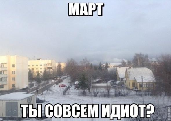 Забавные картинки из Сети