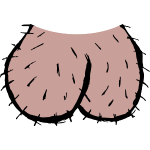 9 фактов о мужском половом органе