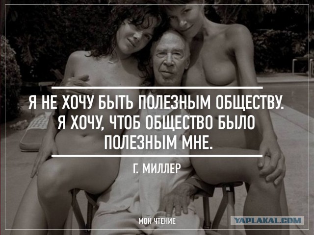 СтопХамСПб - После рейда