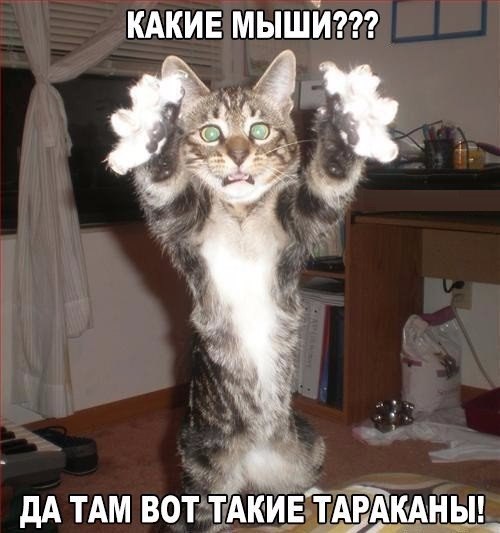 Подборка картинок