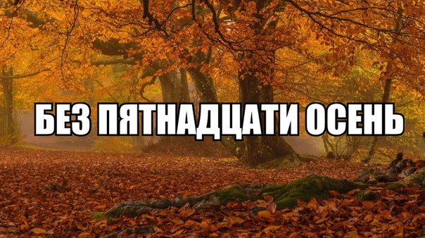 Всякое разное из интернета