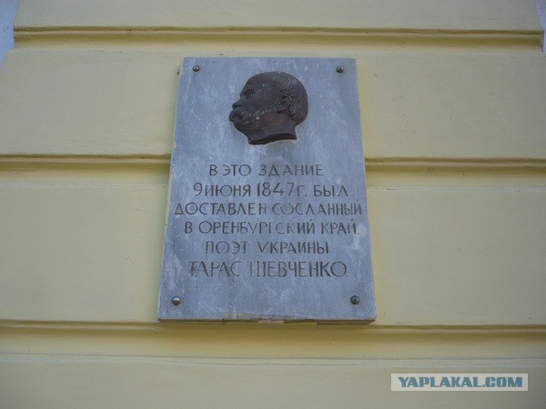 Уровень дерзости патриотов сломал шкалу борзометра