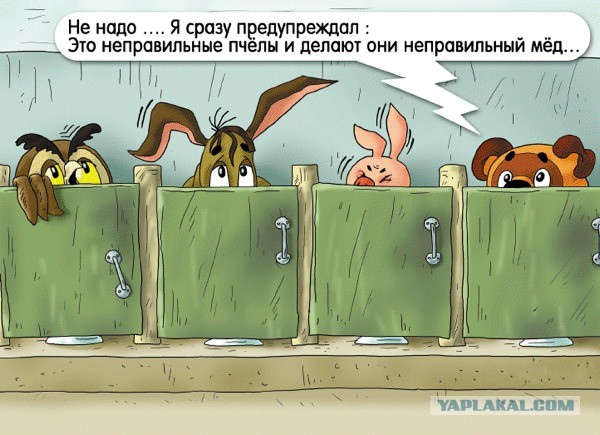 Как правильно выбрать  мёд