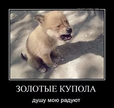 Ищи меня в клубе: снимки тусовщиков, которые жгут на полную катушку