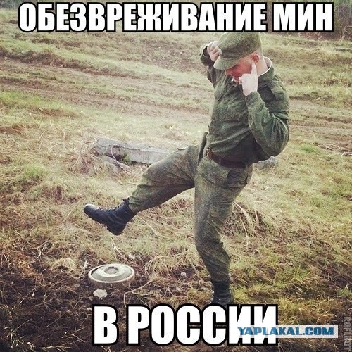 С днём защитника Отечества, ЯПовцы!