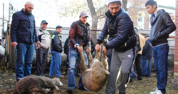 Австралийские школьники-мусульмане грозились обезглавить педагога