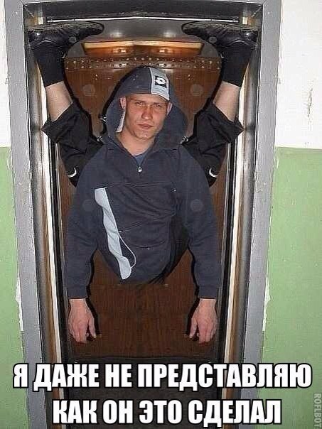 Подборка безудержного веселья