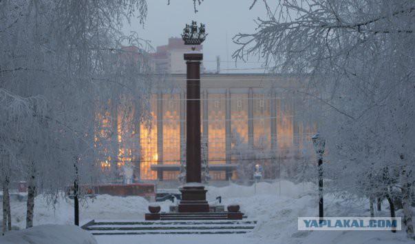 Питерские и околопитерские картинки
